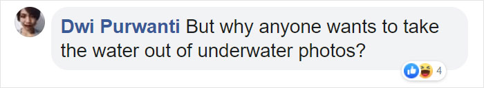 Scientists Create An Algorithm That Removes Color Distortion From Underwater Photos And Here Are 8 Before And After Pics