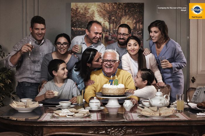 Ad Campaigns Tell How A Dog Can Transform A Person's Life (16 Pics)