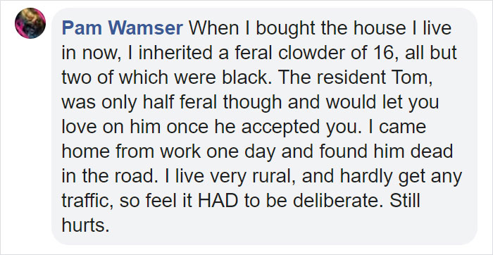 The Same Artist Who Made People Cry With Her Comic 'Good Boy' Just Shared A New One With A Black Cat