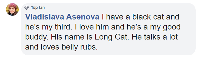 The Same Artist Who Made People Cry With Her Comic 'Good Boy' Just Shared A New One With A Black Cat