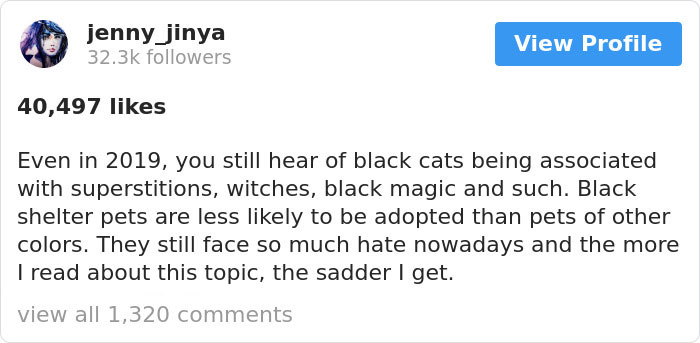 The Same Artist Who Made People Cry With Her Comic 'Good Boy' Just Shared A New One With A Black Cat