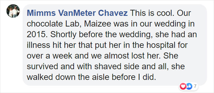 Bride's Decision To Bring Her Dog To Her 'First Look' Photoshoot Makes The Pics Go Viral Bride's Decision To Bring Her Dog To Her 'First Look' Photoshoot Makes The Pics Go Viral