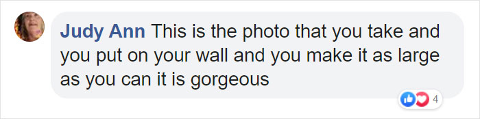 Bride's Decision To Bring Her Dog To Her 'First Look' Photoshoot Makes The Pics Go Viral