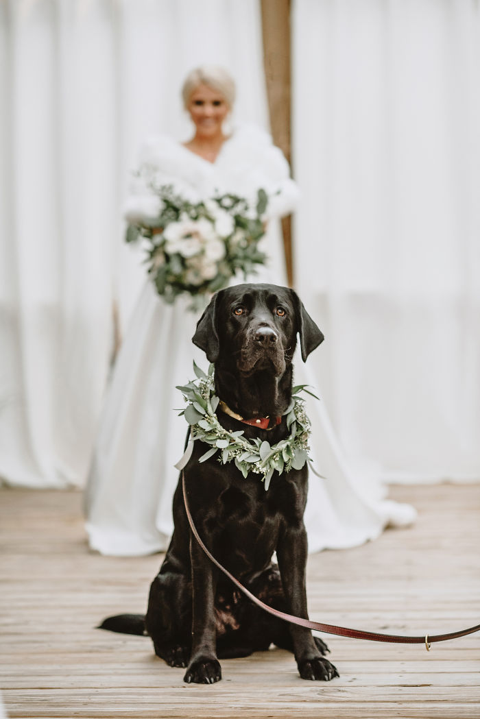 Bride's Decision To Bring Her Dog To Her 'First Look' Photoshoot Makes The Pics Go Viral Bride's Decision To Bring Her Dog To Her 'First Look' Photoshoot Makes The Pics Go Viral
