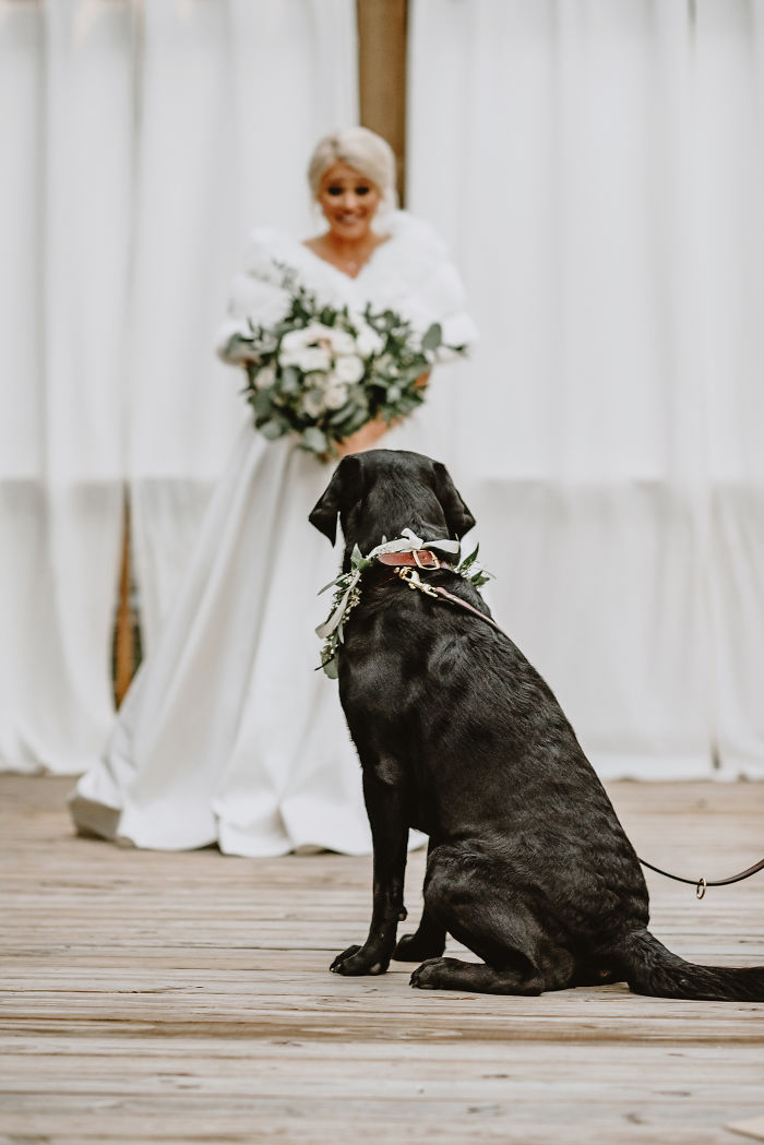 Bride's Decision To Bring Her Dog To Her 'First Look' Photoshoot Makes The Pics Go Viral Bride's Decision To Bring Her Dog To Her 'First Look' Photoshoot Makes The Pics Go Viral