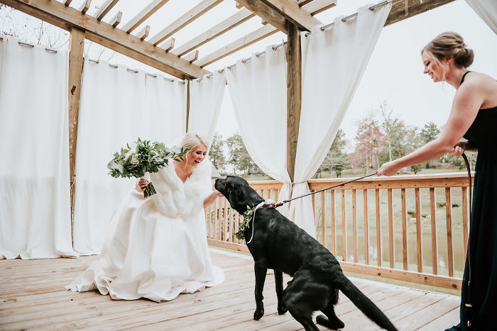 Bride's Decision To Bring Her Dog To Her 'First Look' Photoshoot Makes The Pics Go Viral Bride's Decision To Bring Her Dog To Her 'First Look' Photoshoot Makes The Pics Go Viral