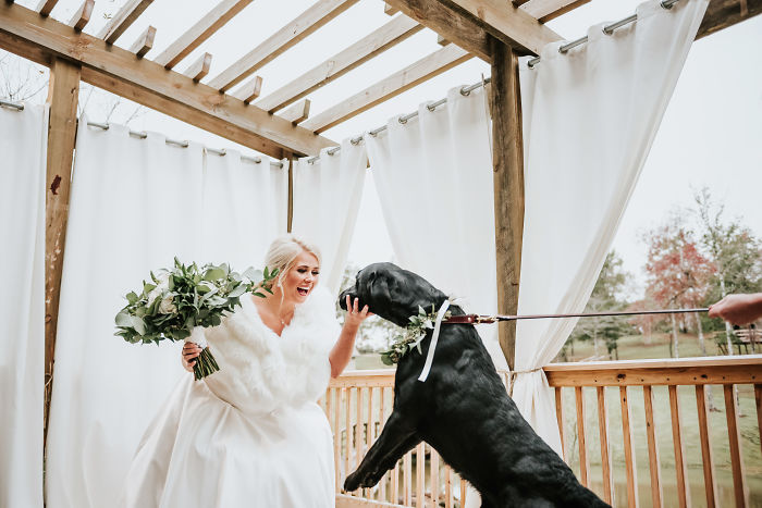 Bride's Decision To Bring Her Dog To Her 'First Look' Photoshoot Makes The Pics Go Viral Bride's Decision To Bring Her Dog To Her 'First Look' Photoshoot Makes The Pics Go Viral