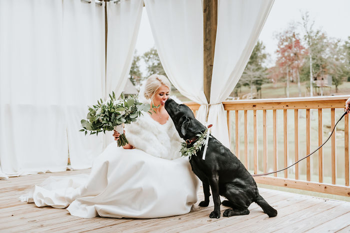 Bride's Decision To Bring Her Dog To Her 'First Look' Photoshoot Makes The Pics Go Viral Bride's Decision To Bring Her Dog To Her 'First Look' Photoshoot Makes The Pics Go Viral