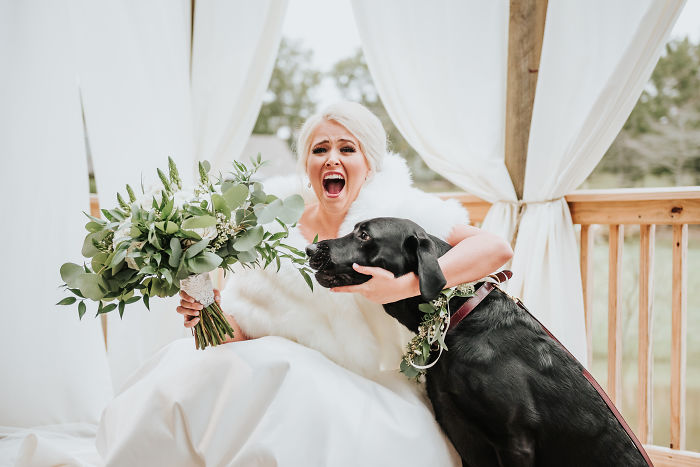 Bride's Decision To Bring Her Dog To Her 'First Look' Photoshoot Makes The Pics Go Viral Bride's Decision To Bring Her Dog To Her 'First Look' Photoshoot Makes The Pics Go Viral