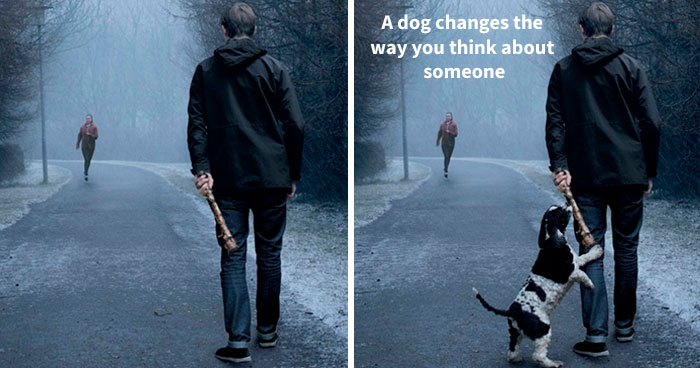 Ad Campaigns Tell How A Dog Can Transform A Person’s Life (16 Pics)