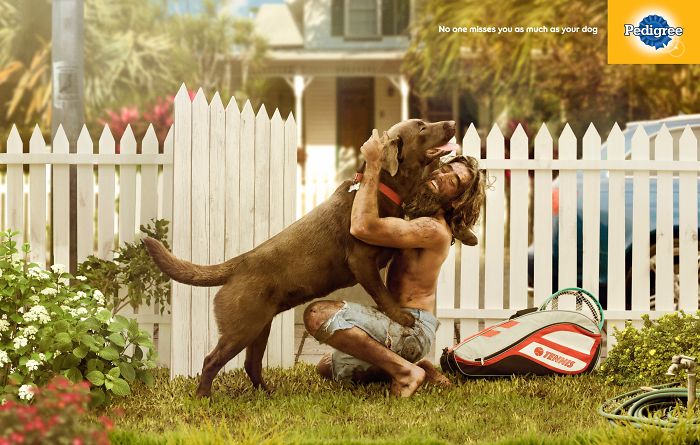 Ad Campaigns Tell How A Dog Can Transform A Person's Life (16 Pics) Ad Campaigns Tell How A Dog Can Transform A Person's Life (16 Pics)