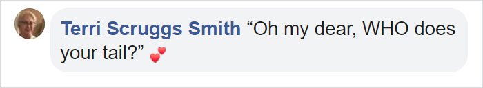 This Cat Has A Majestic Fluffy Tail Just Like A Squirrel This Cat Has A Majestic Fluffy Tail Just Like A Squirrel