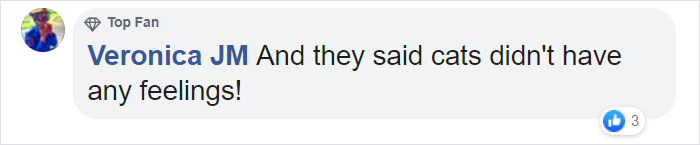 Video Shows Cat Sprinting Over And Saving Baby Who Was About To Fall Down The Stairs Video Shows Cat Sprinting Over And Saving Baby Who Was About To Fall Down The Stairs