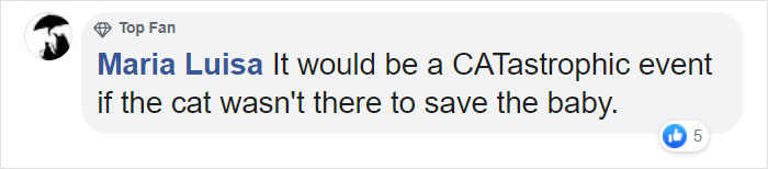 Video Shows Cat Sprinting Over And Saving Baby Who Was About To Fall Down The Stairs Video Shows Cat Sprinting Over And Saving Baby Who Was About To Fall Down The Stairs