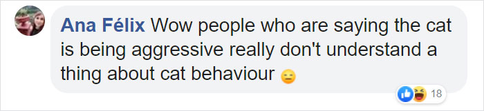 Video Shows Cat Sprinting Over And Saving Baby Who Was About To Fall Down The Stairs Video Shows Cat Sprinting Over And Saving Baby Who Was About To Fall Down The Stairs