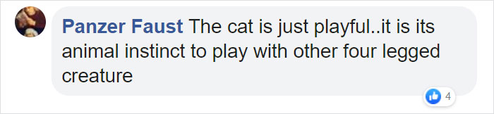 Video Shows Cat Sprinting Over And Saving Baby Who Was About To Fall Down The Stairs Video Shows Cat Sprinting Over And Saving Baby Who Was About To Fall Down The Stairs