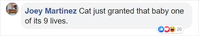 Video Shows Cat Sprinting Over And Saving Baby Who Was About To Fall Down The Stairs Video Shows Cat Sprinting Over And Saving Baby Who Was About To Fall Down The Stairs