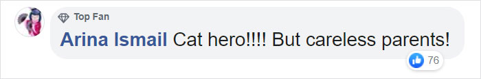 Video Shows Cat Sprinting Over And Saving Baby Who Was About To Fall Down The Stairs Video Shows Cat Sprinting Over And Saving Baby Who Was About To Fall Down The Stairs