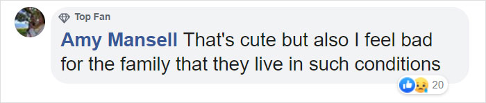 Video Shows Cat Sprinting Over And Saving Baby Who Was About To Fall Down The Stairs Video Shows Cat Sprinting Over And Saving Baby Who Was About To Fall Down The Stairs