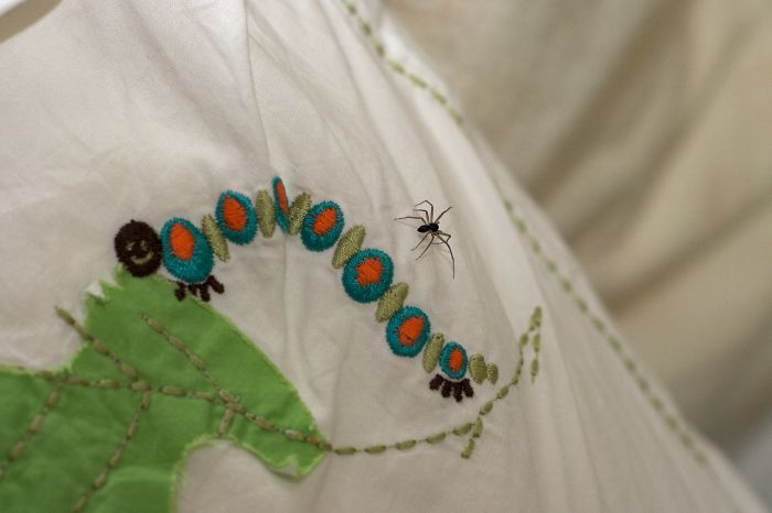 People Don't Swallow A High Number Of Spiders While Asleep