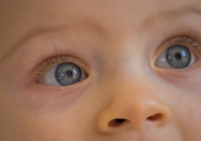 Humans Have More Than The Commonly Cited Five Senses