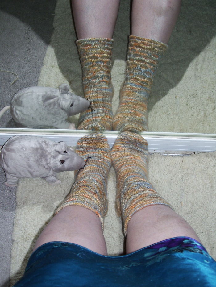 Shaving Does Not Cause Terminal Hair To Grow Back Thicker (More Dense) Or Darker