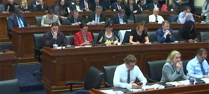 Congresswoman Shows Up To Impeachment Vote In Full Batgirl Costume And It Has Infuriated Some People