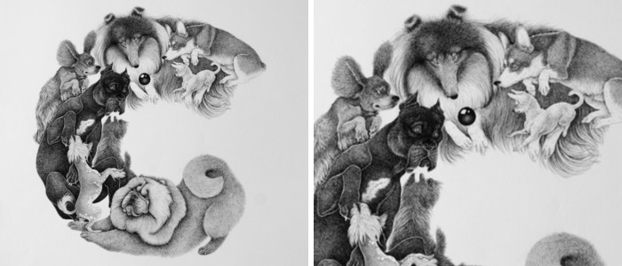 An Alphabet Of Dogs – My Illustrated Book