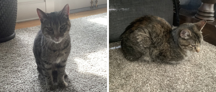 Star’s 5 Week Story