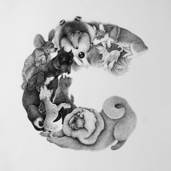 I Illustrated A Book Of An Alphabet Of Dogs