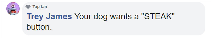 "Happy Ball Want Outside:" Dog Learns To Talk Using A Word Machine, Already Knows 29 Words