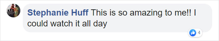 "Happy Ball Want Outside:" Dog Learns To Talk Using A Word Machine, Already Knows 29 Words