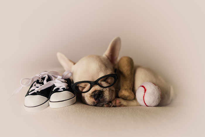 There's A Calendar Called 'Dad Bod And Rescue Dog' And It May Be The Perfect Gift For Christmas
There's A Calendar Called 'Dad Bod And Rescue Dog' And It May Be The Perfect Gift For Christmas