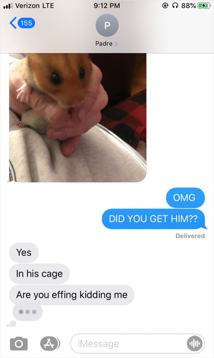 Dad Loses Daughter's Hamster, And His Freak-Out Texts Reveal How Pure His Heart Really Is