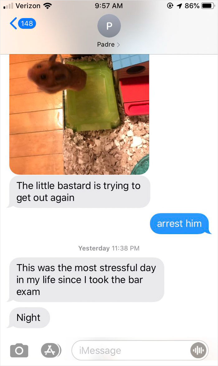 Dad Loses Daughter's Hamster, And His Freak-Out Texts Reveal How Pure His Heart Really Is
