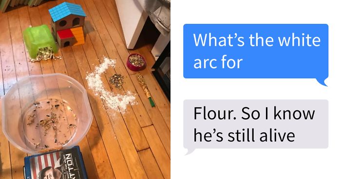 Dad Loses Daughter’s Hamster, And His Freak-Out Texts Reveal How Pure His Heart Really Is