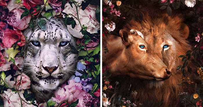 My 38 New Surreal Images That I Created To Raise Awareness About Speciesism