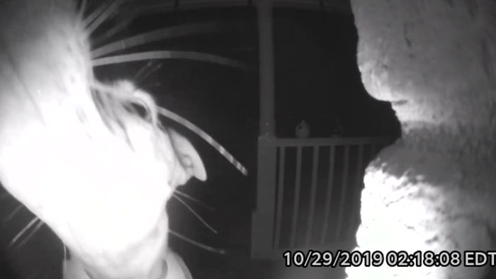 This Dog Rang The Doorbell At 2 AM After Getting Locked Out By Accident & Got Recorded By The Door Cam This Dog Rang The Doorbell At 2 AM After Getting Locked Out By Accident & Got Recorded By The Door Cam