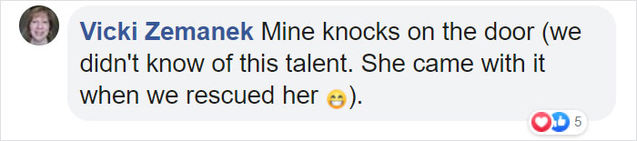 This Dog Rang The Doorbell At 2 AM After Getting Locked Out By Accident & Got Recorded By The Door Cam This Dog Rang The Doorbell At 2 AM After Getting Locked Out By Accident & Got Recorded By The Door Cam
