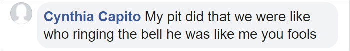 This Dog Rang The Doorbell At 2 AM After Getting Locked Out By Accident & Got Recorded By The Door Cam This Dog Rang The Doorbell At 2 AM After Getting Locked Out By Accident & Got Recorded By The Door Cam