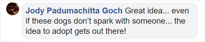 This Beer Company Puts Dog Photos On Cans To Help Them Get Adopted