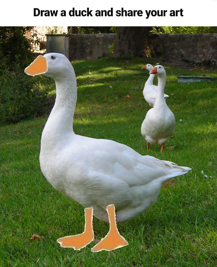 Drawing-Duck-People-Art