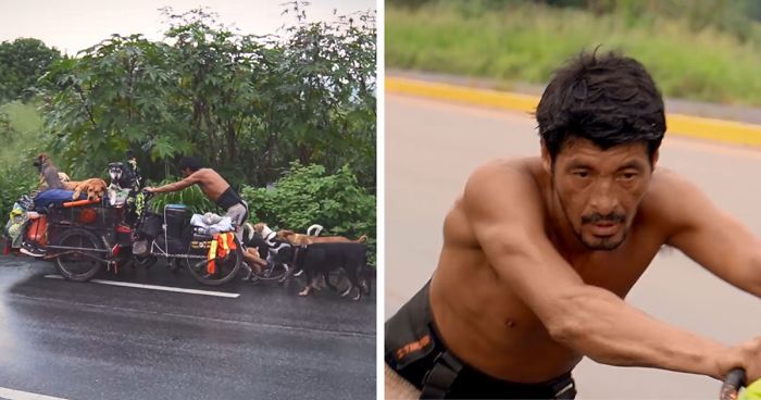 I Saw A Man Who Walks With A Trolley Around Mexico Saving Hundreds Of Homeless Dogs And His Story Touched Me