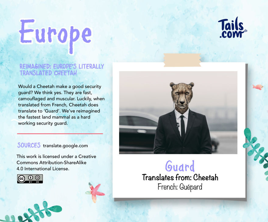 Literally-Translated Animal World Map Shows How Ridiculous Their Names Can Be Literally-Translated Animal World Map Shows How Ridiculous Their Names Can Be