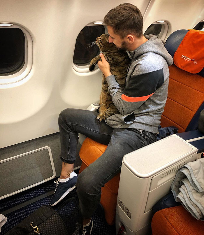 Guy Sneaks A Fat Cat On Board An Airplane, Gets Punished By The Airline After Landing Guy Sneaks A Fat Cat On Board An Airplane, Gets Punished By The Airline After Landing