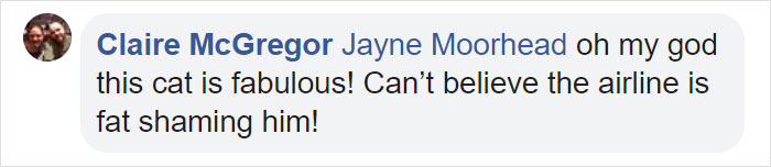 Guy Sneaks A Fat Cat On Board An Airplane, Gets Punished By The Airline After Landing Guy Sneaks A Fat Cat On Board An Airplane, Gets Punished By The Airline After Landing