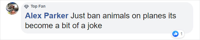 Guy Sneaks A Fat Cat On Board An Airplane, Gets Punished By The Airline After Landing Guy Sneaks A Fat Cat On Board An Airplane, Gets Punished By The Airline After Landing