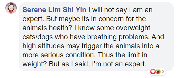 Guy Sneaks A Fat Cat On Board An Airplane, Gets Punished By The Airline After Landing Guy Sneaks A Fat Cat On Board An Airplane, Gets Punished By The Airline After Landing