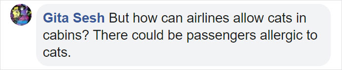Guy Sneaks A Fat Cat On Board An Airplane, Gets Punished By The Airline After Landing Guy Sneaks A Fat Cat On Board An Airplane, Gets Punished By The Airline After Landing