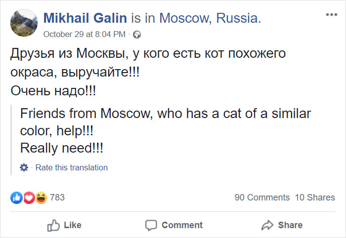 Guy Sneaks A Fat Cat On Board An Airplane, Gets Punished By The Airline After Landing Guy Sneaks A Fat Cat On Board An Airplane, Gets Punished By The Airline After Landing